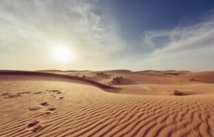 Dubai Desert Safari