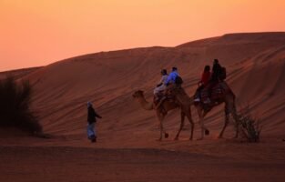 Desert Safari